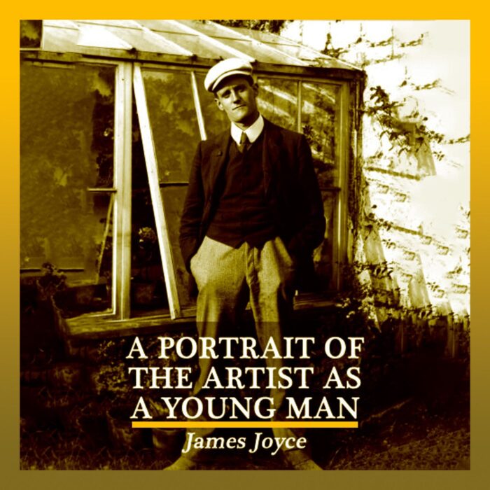 A Portrait of the Artist as a Young Man audiobook cover